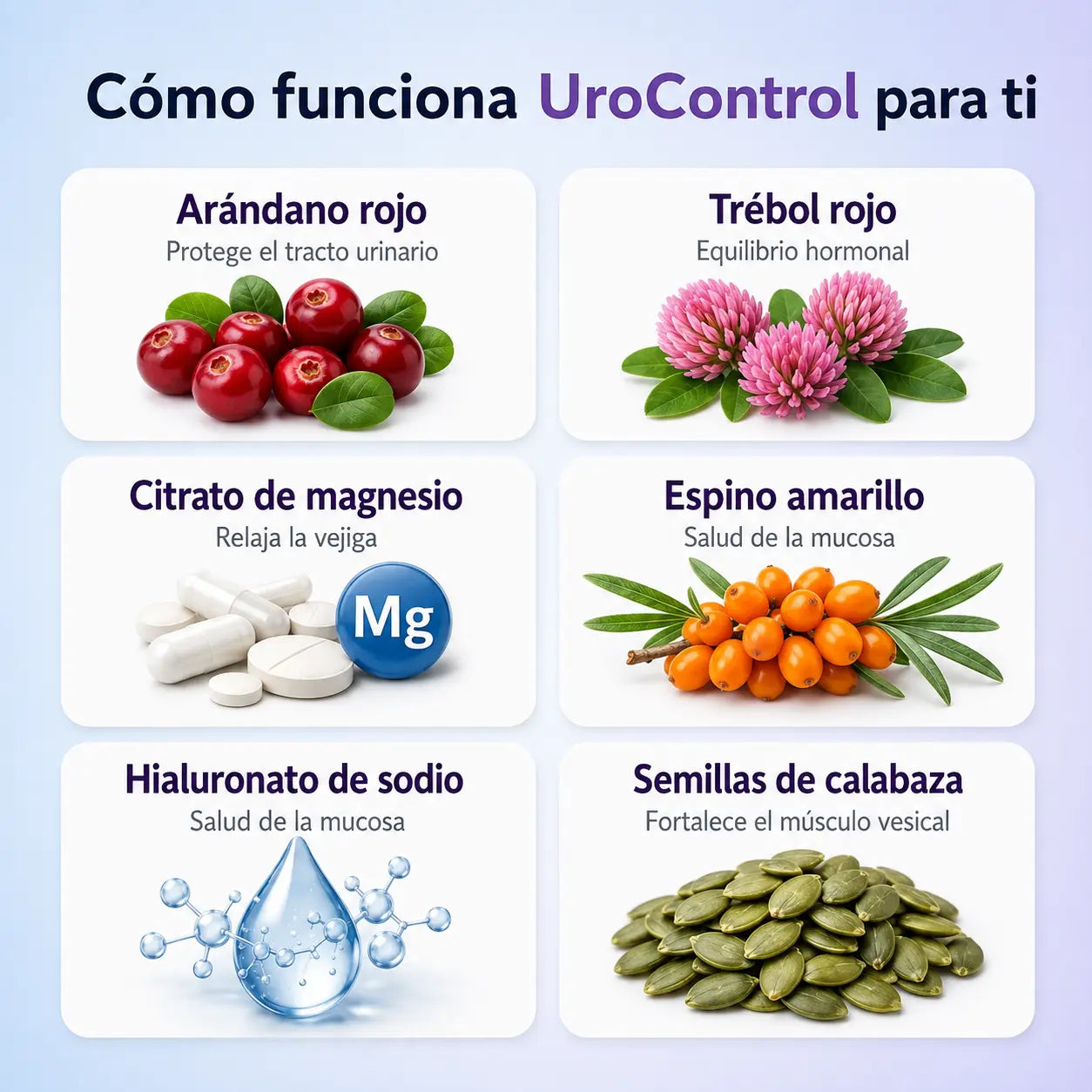 LOVY UROCONTROL - vivi sin urgencias y dormi tranquila